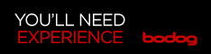 Bodog Casino Banner