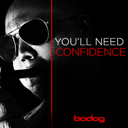 Bodog Casino Banner